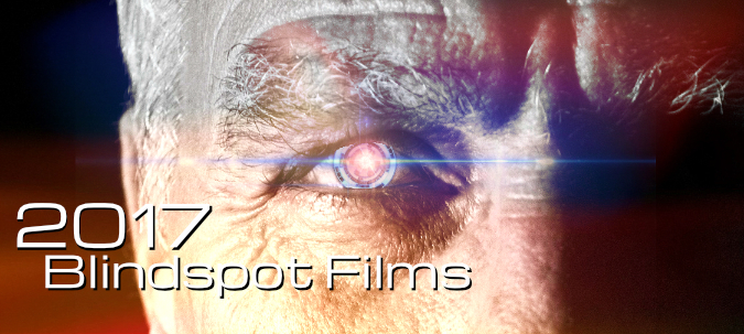2017 Blindspot films