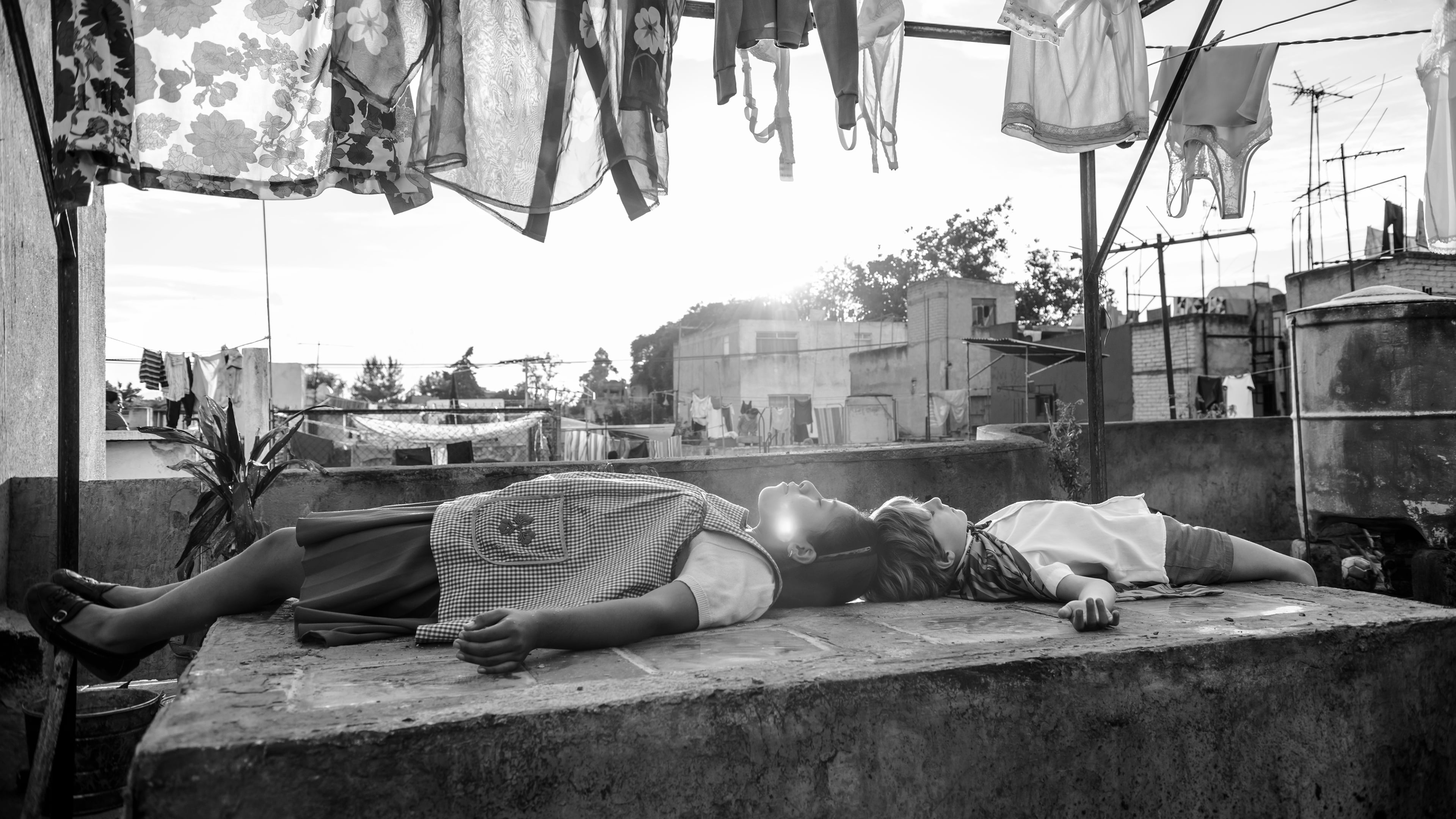 Review Roma