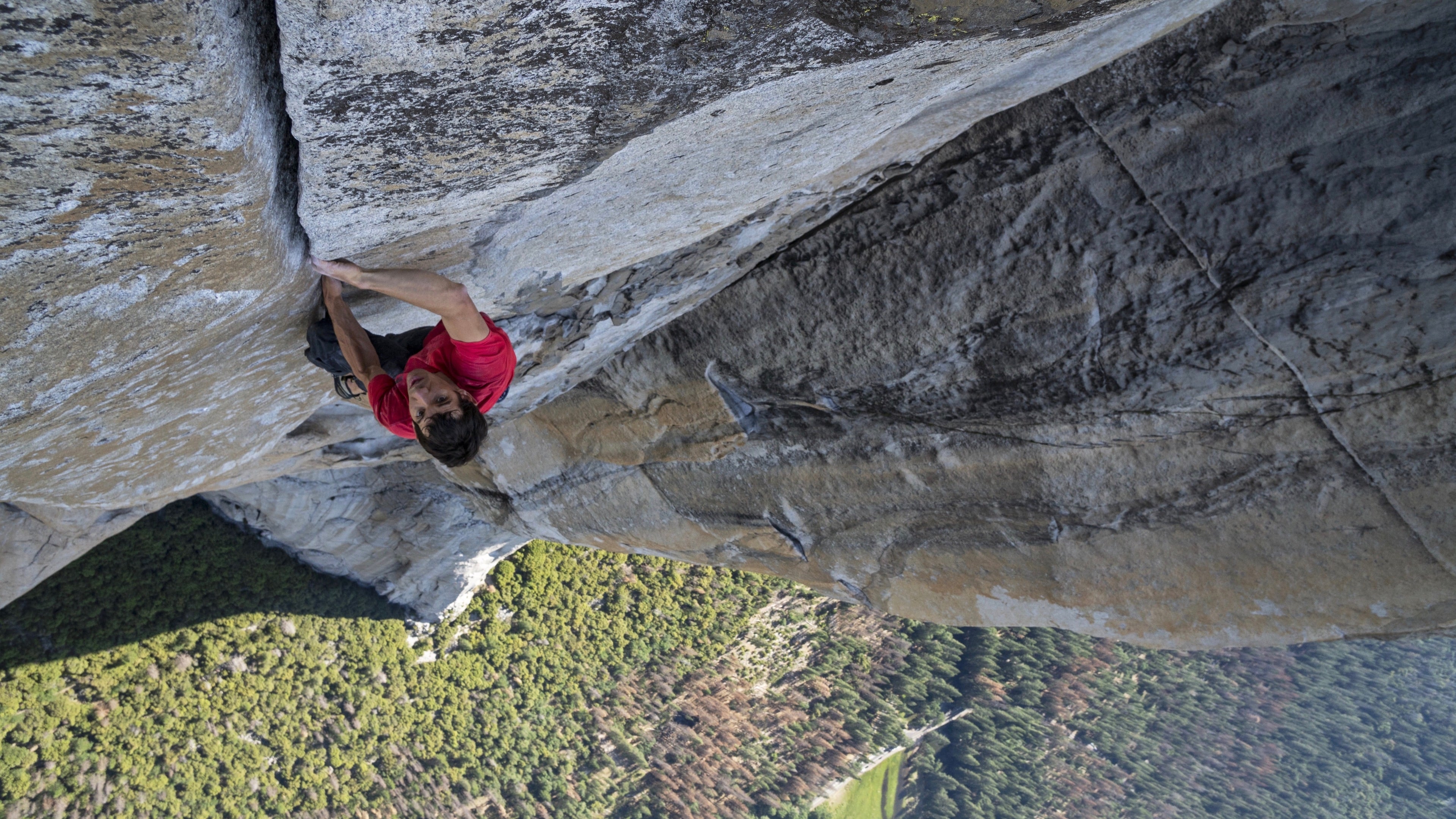 Free Solo review